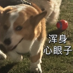 墨水屏手机赛道迎来磁吸LCD副屏潮，海信A10系列四年磨一剑正式开售