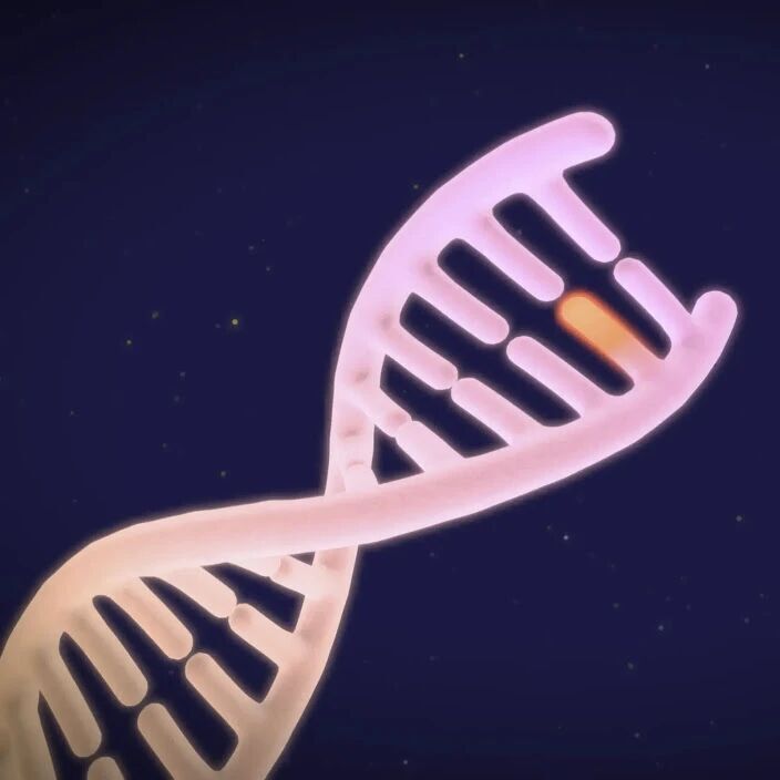 谷歌DeepMind发布AlphaGenome Atlas！90亿种基因突变全部算穿